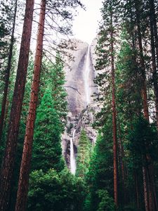 Preview wallpaper waterfall, forest, trees