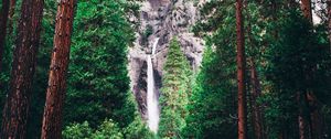 Preview wallpaper waterfall, forest, trees