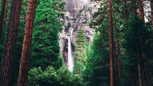 Preview wallpaper waterfall, forest, trees