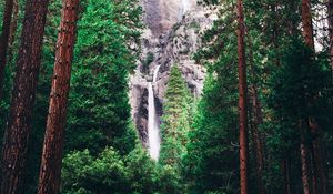 Preview wallpaper waterfall, forest, trees