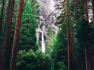 Preview wallpaper waterfall, forest, trees