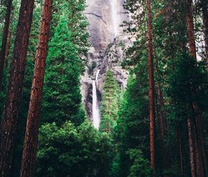 Preview wallpaper waterfall, forest, trees