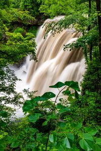 Preview wallpaper waterfall, forest, trees, bushes, greens