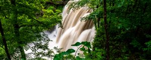 Preview wallpaper waterfall, forest, trees, bushes, greens