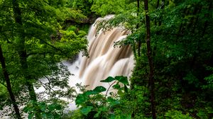 Preview wallpaper waterfall, forest, trees, bushes, greens