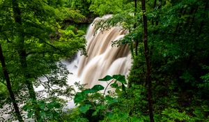 Preview wallpaper waterfall, forest, trees, bushes, greens