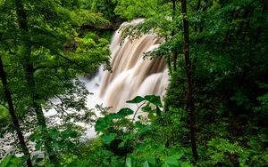 Preview wallpaper waterfall, forest, trees, bushes, greens