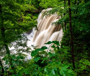 Preview wallpaper waterfall, forest, trees, bushes, greens