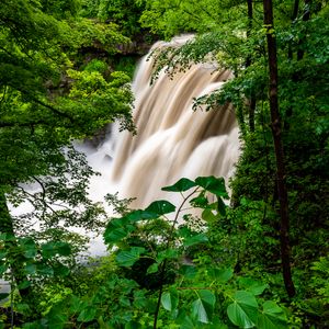 Preview wallpaper waterfall, forest, trees, bushes, greens