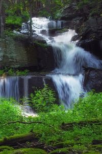 Preview wallpaper waterfall, forest, vegetation, nature