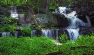 Preview wallpaper waterfall, forest, vegetation, nature