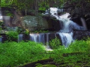 Preview wallpaper waterfall, forest, vegetation, nature