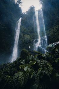 Preview wallpaper waterfall, girl, alone, leaves, plants