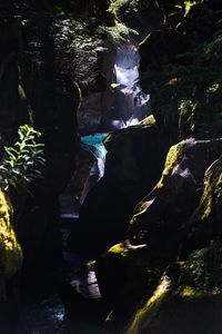 Preview wallpaper waterfall, gorge, rocks, branches, water