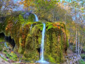 Preview wallpaper waterfall, grass, foam, trees