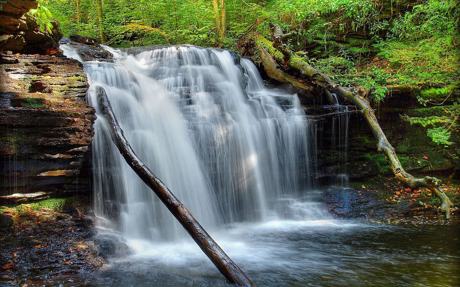 Download Wallpaper 1920x1200 Waterfall Grass Moss River Widescreen