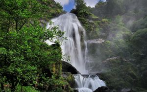 Preview wallpaper waterfall, grass, trees