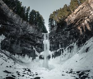 Preview wallpaper waterfall, ice, snow, cliff, trees