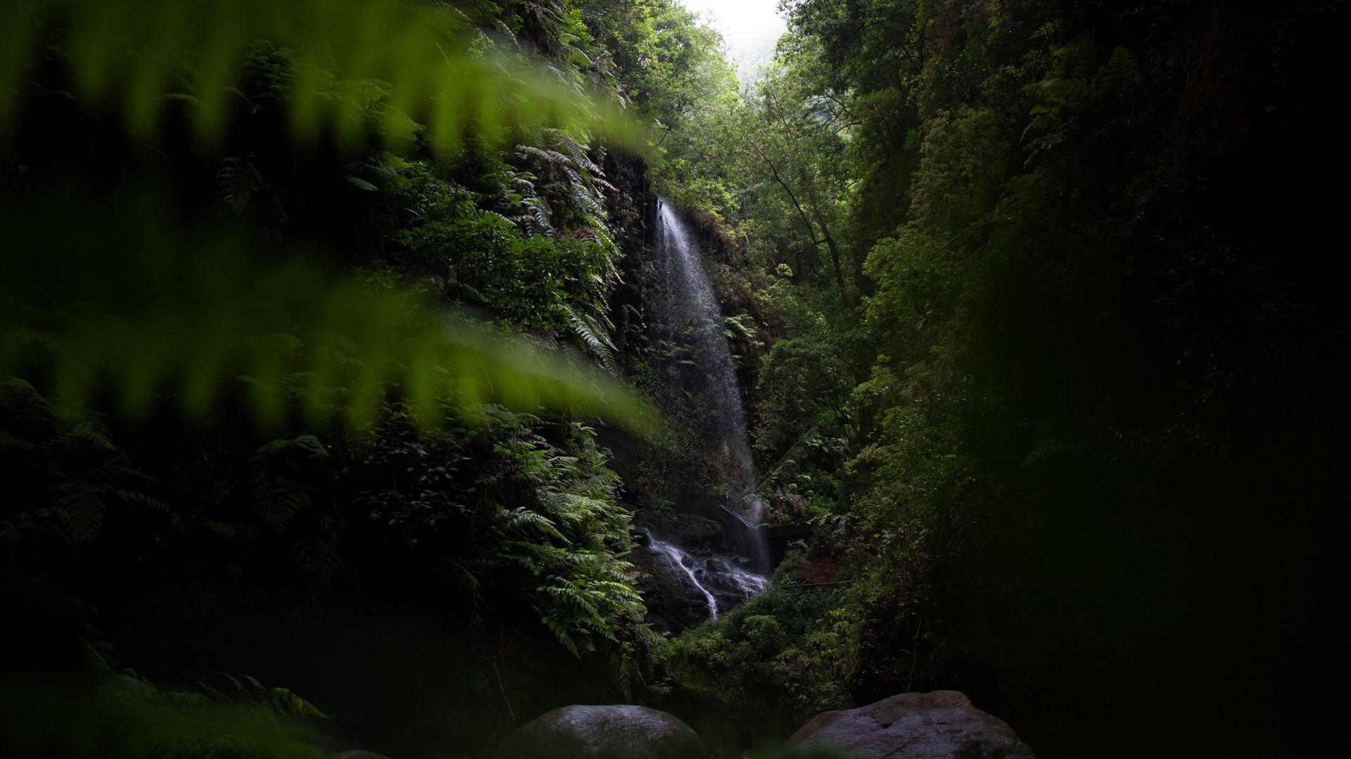 Download wallpaper 1920x1080 waterfall, jungle, dark, vegetation, nature  full hd, hdtv, fhd, 1080p hd background
