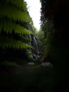 Preview wallpaper waterfall, jungle, dark, vegetation, nature