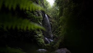 Preview wallpaper waterfall, jungle, dark, vegetation, nature