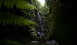 Preview wallpaper waterfall, jungle, dark, vegetation, nature