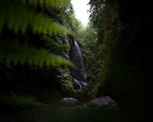 Preview wallpaper waterfall, jungle, dark, vegetation, nature