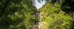 Preview wallpaper waterfall, jungle, tropics, trees, bushes