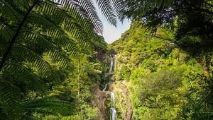 Preview wallpaper waterfall, jungle, tropics, trees, bushes