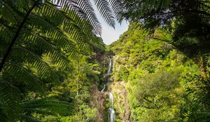 Preview wallpaper waterfall, jungle, tropics, trees, bushes