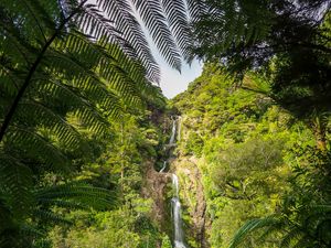 Preview wallpaper waterfall, jungle, tropics, trees, bushes