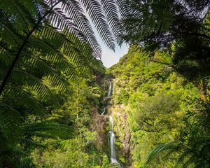 Preview wallpaper waterfall, jungle, tropics, trees, bushes