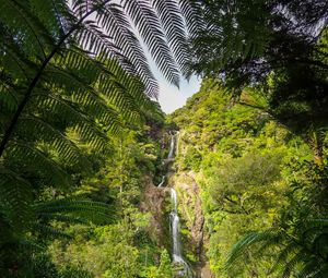 Preview wallpaper waterfall, jungle, tropics, trees, bushes