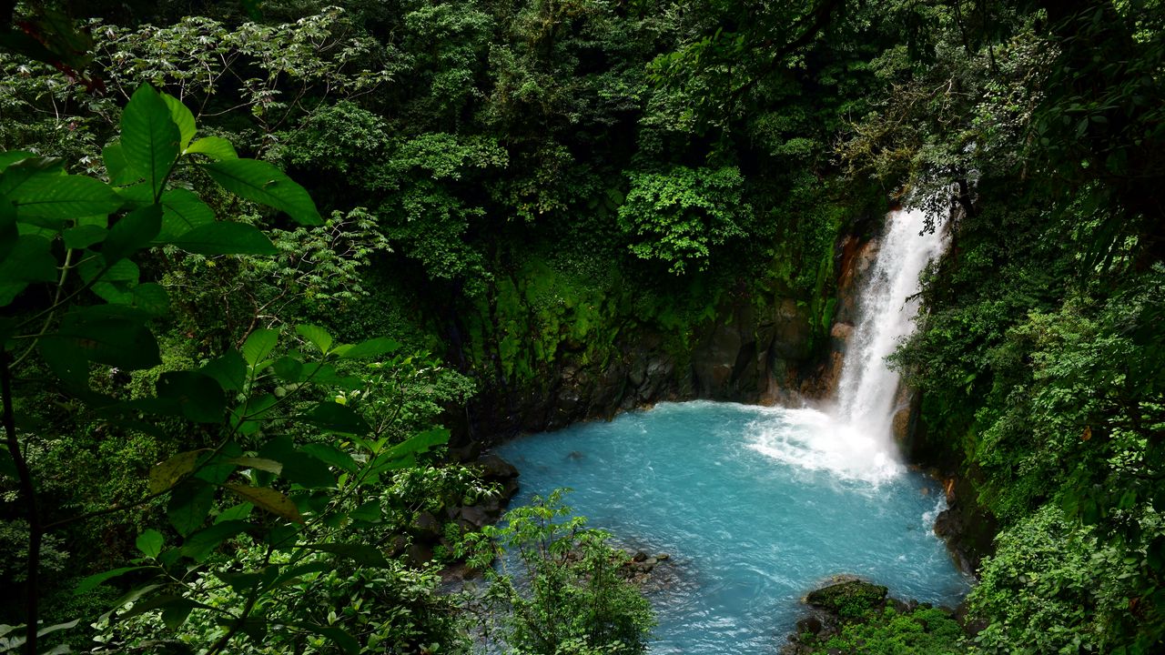 Wallpaper waterfall, lagoon, trees, jungle, landscape