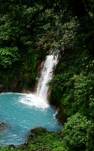 Preview wallpaper waterfall, lagoon, trees, jungle, landscape