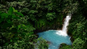 Preview wallpaper waterfall, lagoon, trees, jungle, landscape