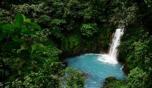 Preview wallpaper waterfall, lagoon, trees, jungle, landscape