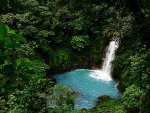 Preview wallpaper waterfall, lagoon, trees, jungle, landscape