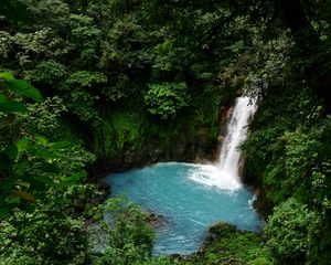 Preview wallpaper waterfall, lagoon, trees, jungle, landscape