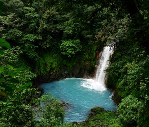 Preview wallpaper waterfall, lagoon, trees, jungle, landscape
