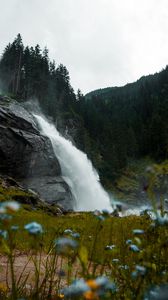 Preview wallpaper waterfall, landscape, forest