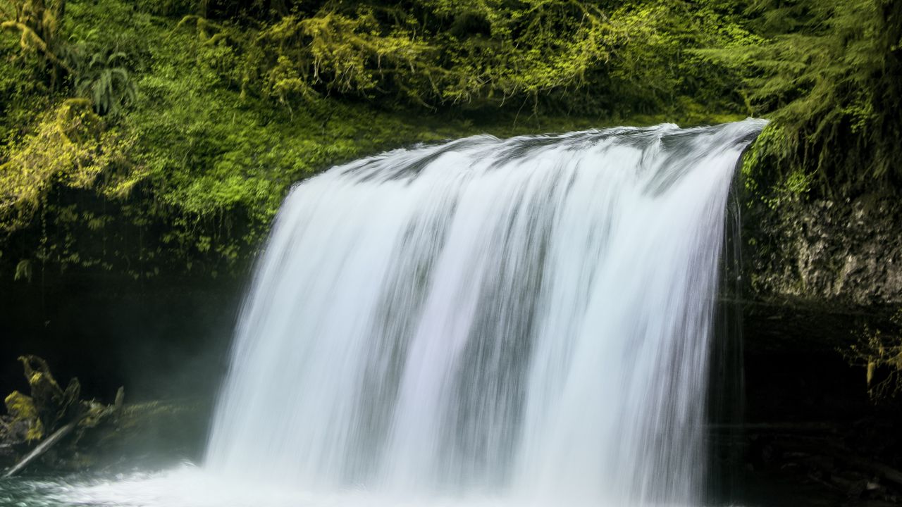 Wallpaper waterfall, landscape, nature, trees, plants