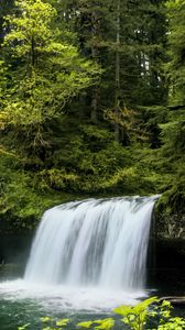 Preview wallpaper waterfall, landscape, nature, trees, plants