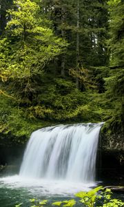 Preview wallpaper waterfall, landscape, nature, trees, plants