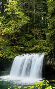 Preview wallpaper waterfall, landscape, nature, trees, plants