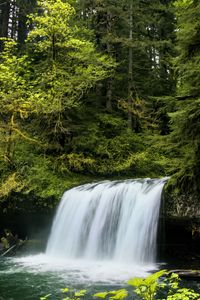 Preview wallpaper waterfall, landscape, nature, trees, plants