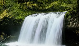 Preview wallpaper waterfall, landscape, nature, trees, plants