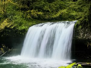 Preview wallpaper waterfall, landscape, nature, trees, plants