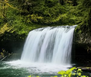 Preview wallpaper waterfall, landscape, nature, trees, plants