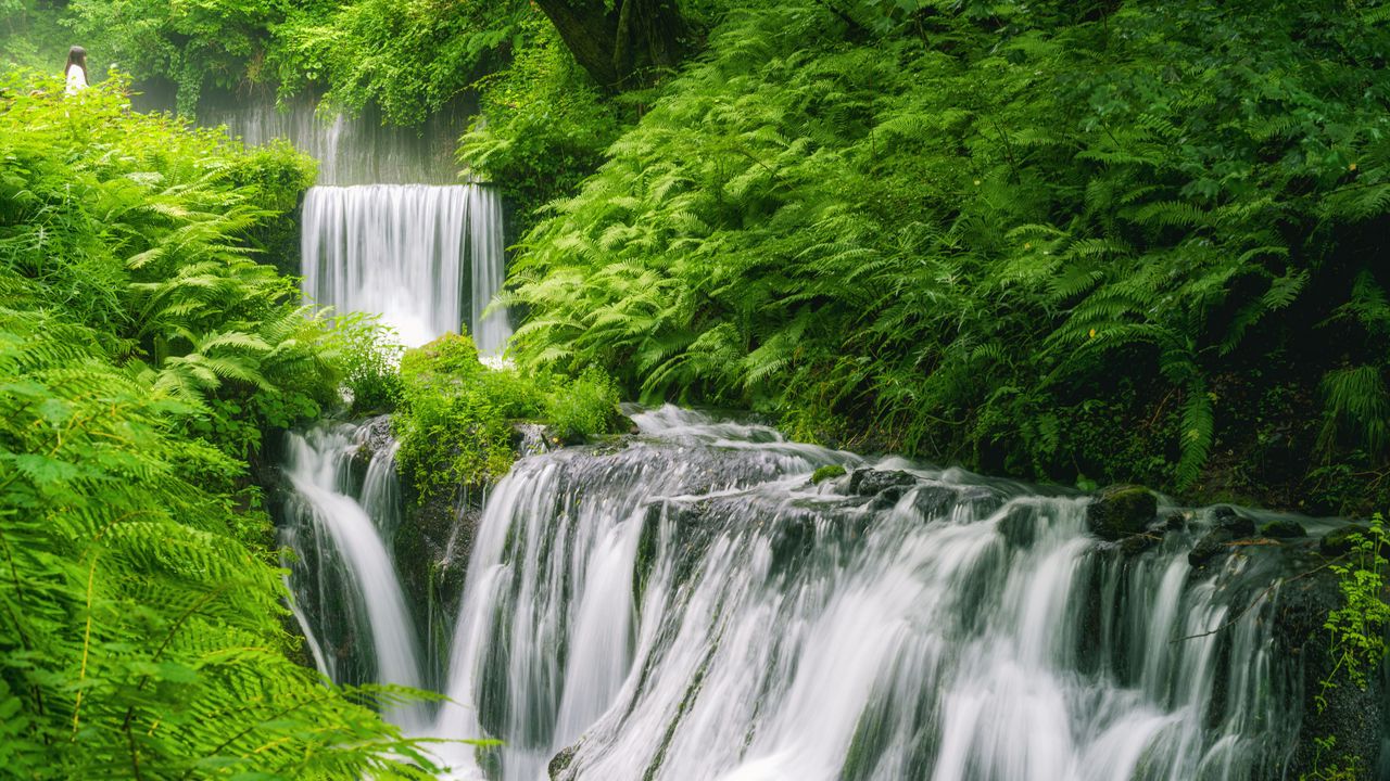 Wallpaper waterfall, landscape, plants, nature